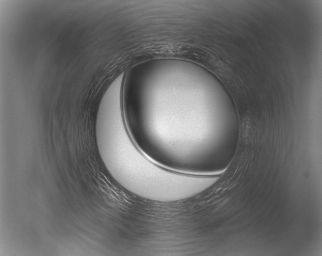 X0000051241202200506170807