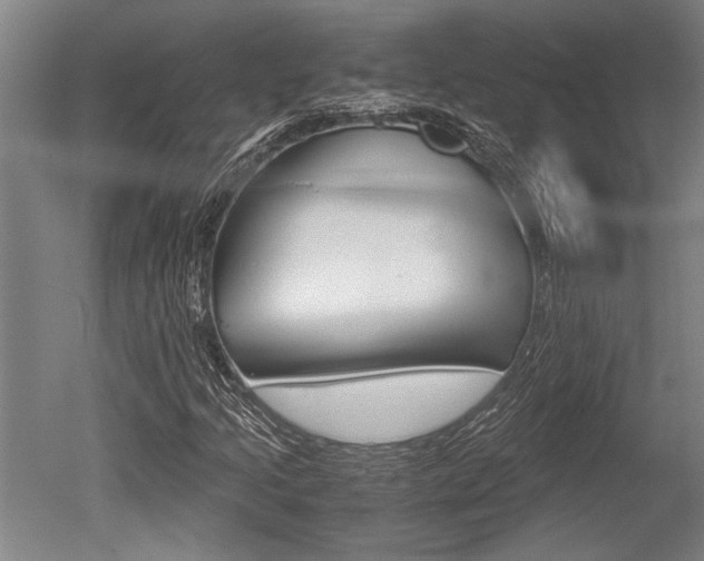 X0000051241205200506170807