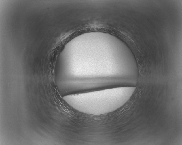 X0000051241207200506170807