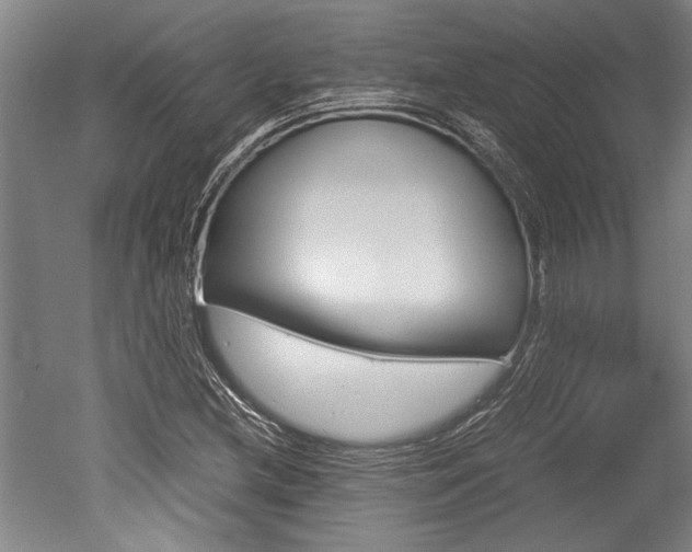 X0000051241212200506170807
