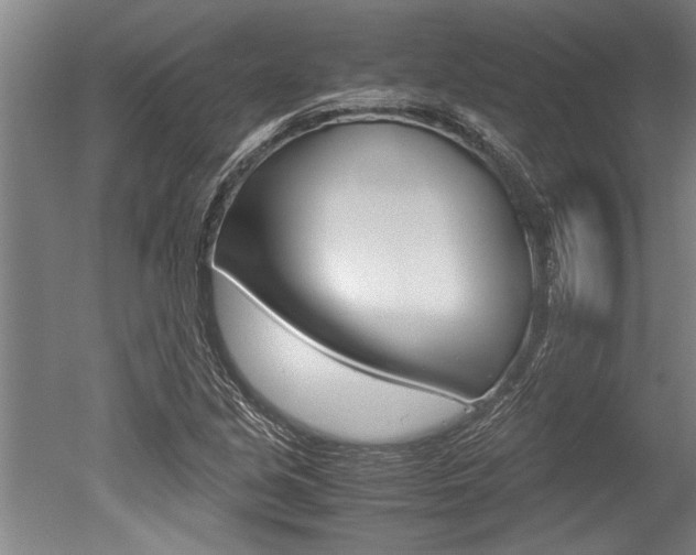 X0000051241213200506170807