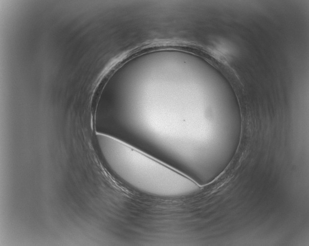 X0000051241221200506170807