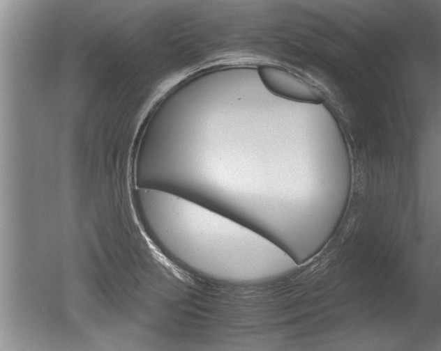 X0000051241231200506170807