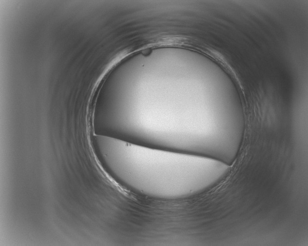 X0000051241235200506170807
