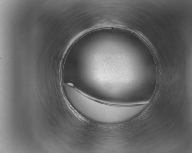 X0000051241246200506170807