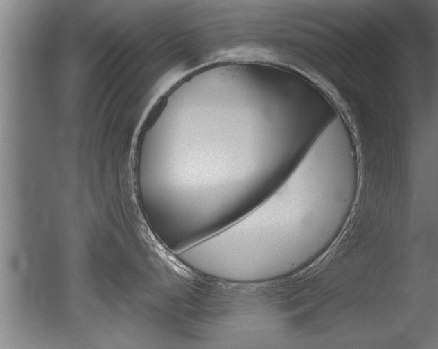 X0000051241248200506170807
