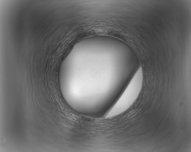 X0000051241249200506170807