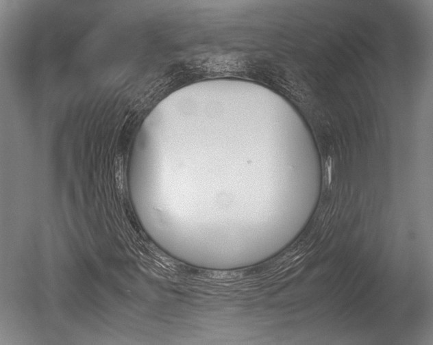 X0000051241251200506170807