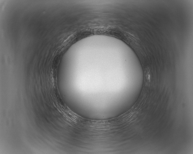 X0000051241252200506170807