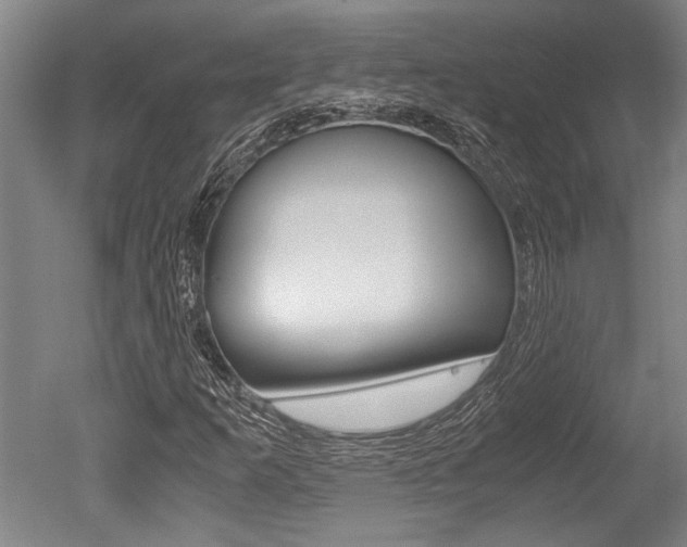 X0000051241253200506170807