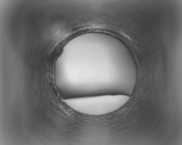 X0000051241255200506170807