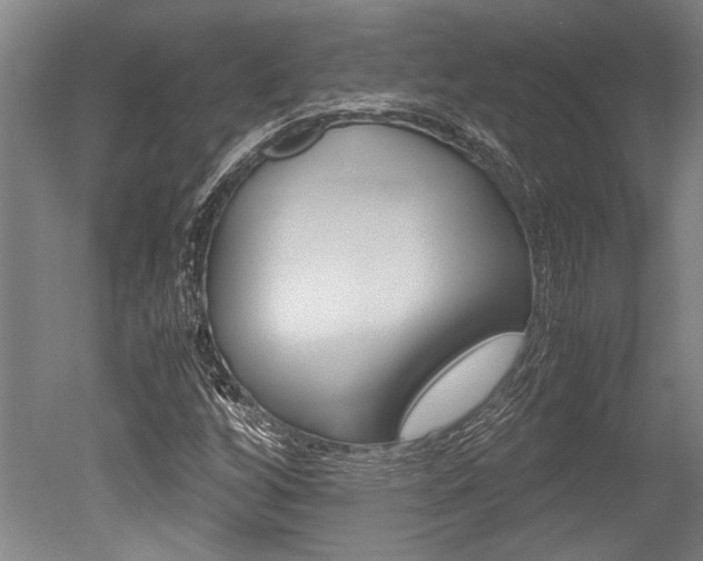 X0000051241256200506170807