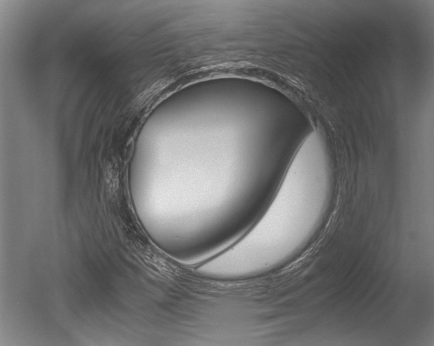 X0000051241257200506170807