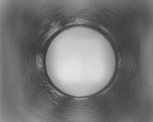 X0000051241258200506170807