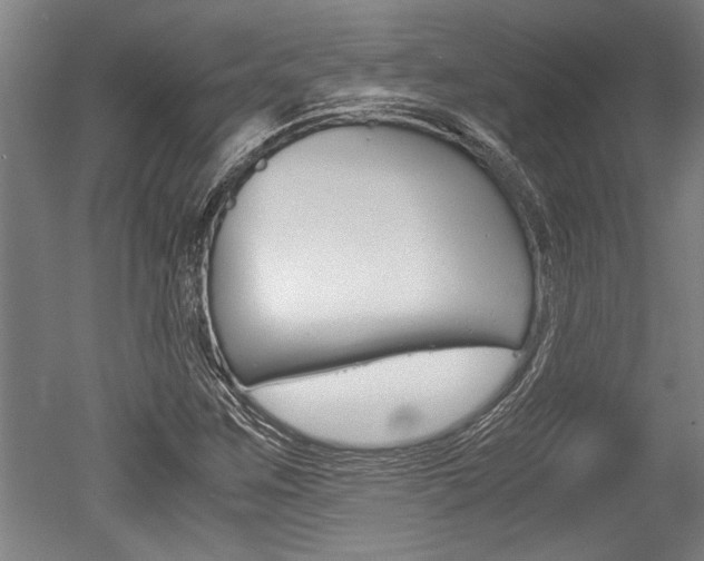 X0000051241259200506170806