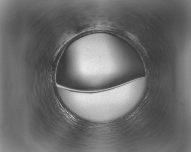 X0000051241260200506170806