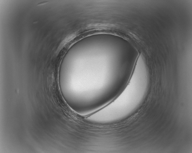 X0000051241261200506170806