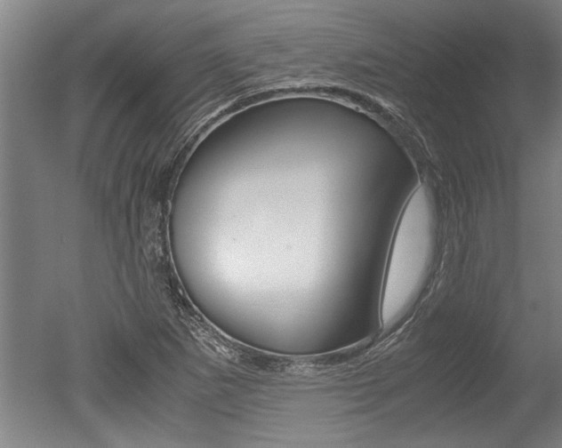 X0000051241265200506170806