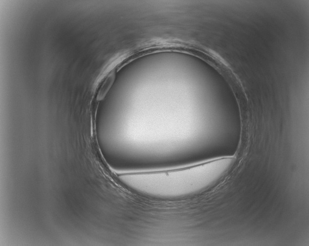 X0000051241269200506170806
