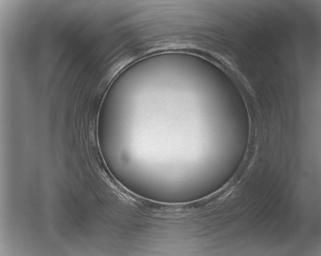 X0000051241273200506170806