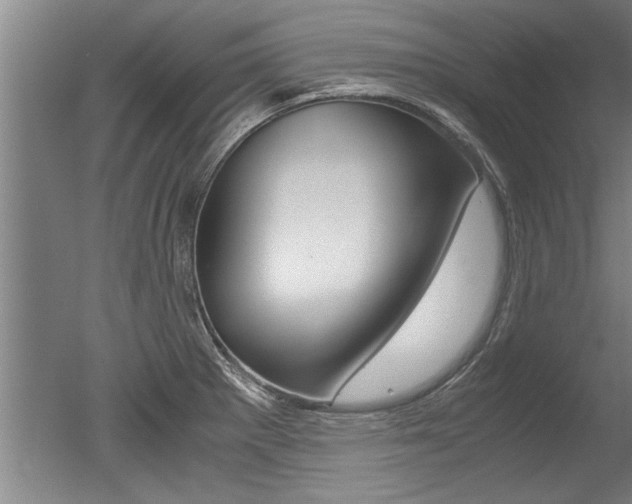 X0000051241281200506170806