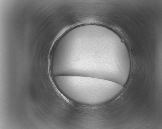 X0000051241286200506170806