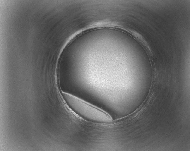 X0000051241288200506170806