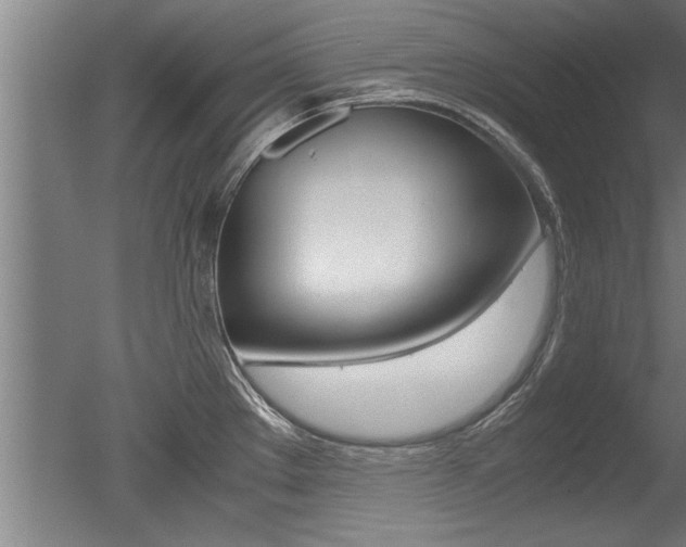 X0000051241289200506170806