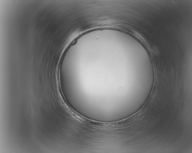 X0000051241291200506170806