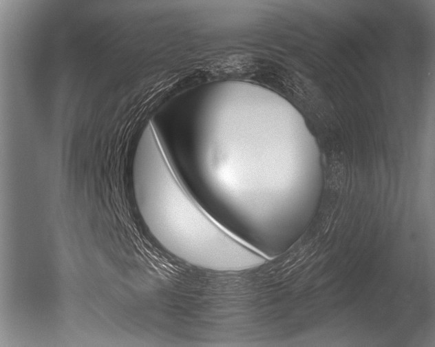 X0000051241297200506170805