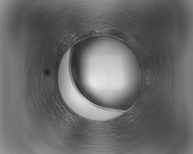 X0000051241298200506170805