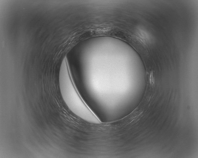 X0000051241299200506170805