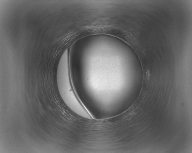 X0000051241300200506170805