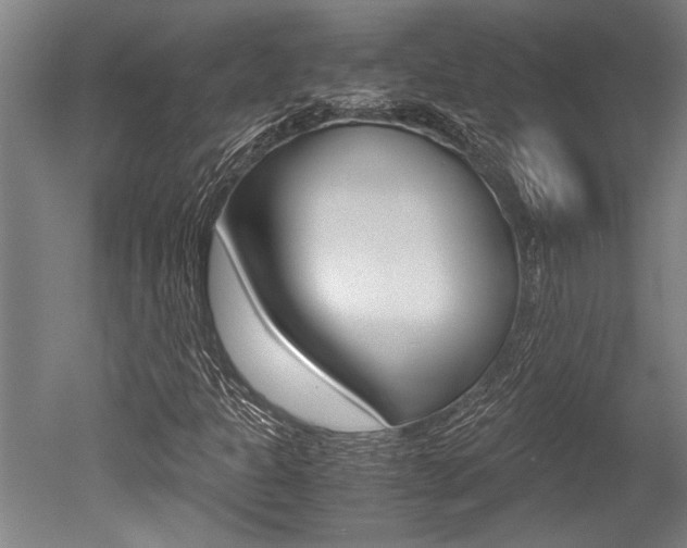 X0000051241301200506170805