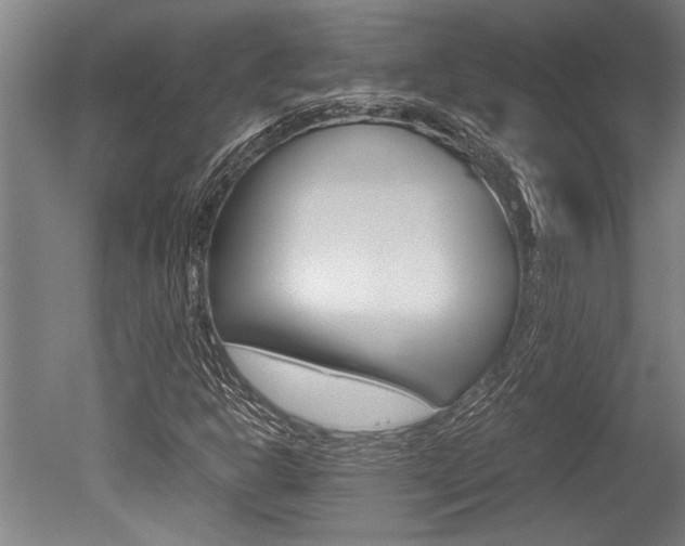 X0000051241302200506170805