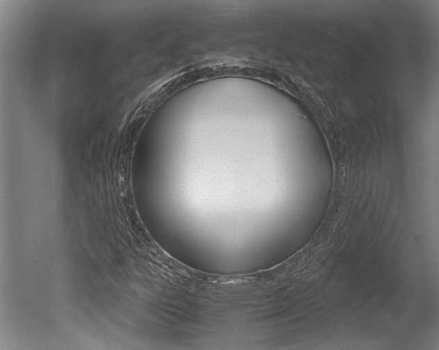 X0000051241303200506170805