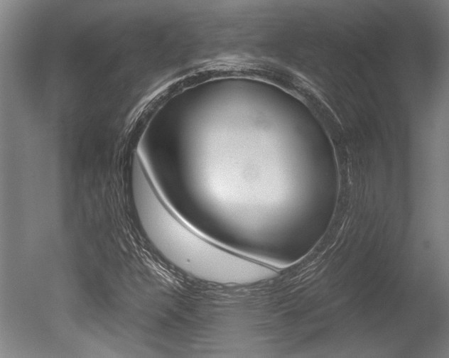 X0000051241304200506170805