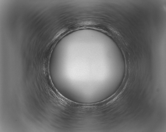 X0000051241305200506170805