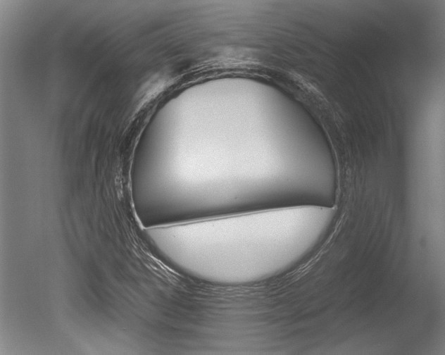 X0000051241306200506170805