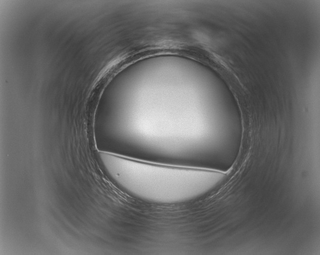 X0000051241307200506170805