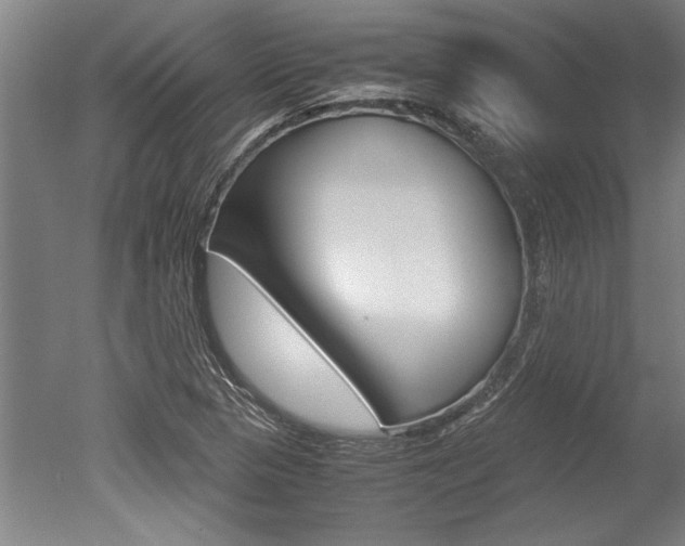 X0000051241313200506170805