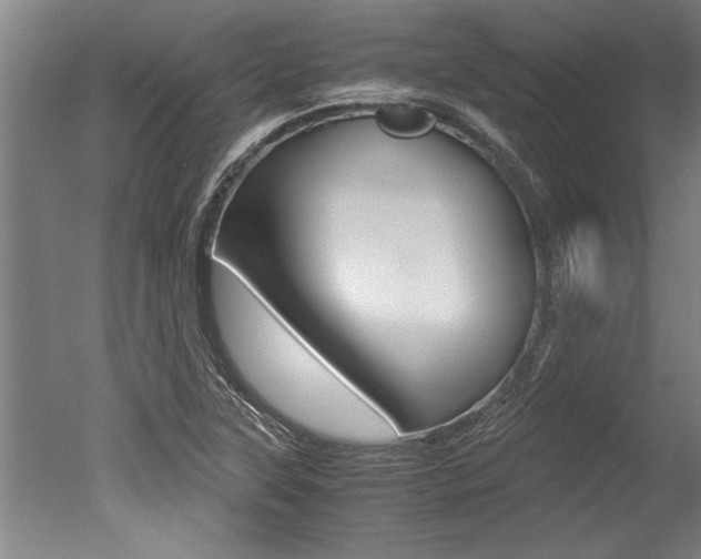 X0000051241315200506170805