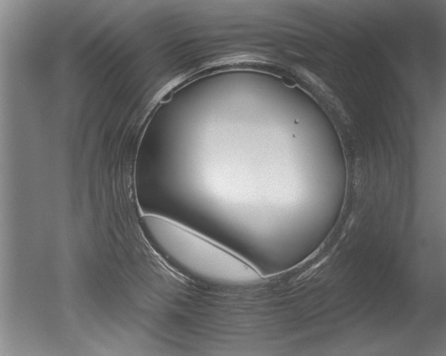 X0000051241321200506170805