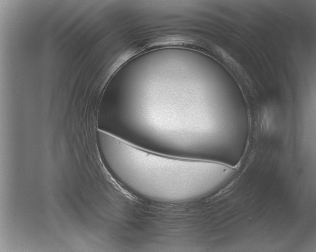 X0000051241329200506170806