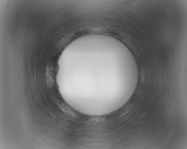 X0000051241346200506170805