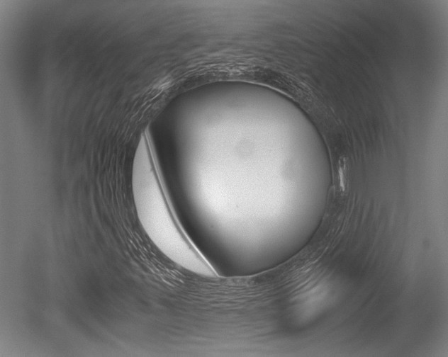 X0000051241347200506170805