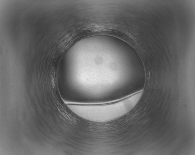 X0000051241348200506170805