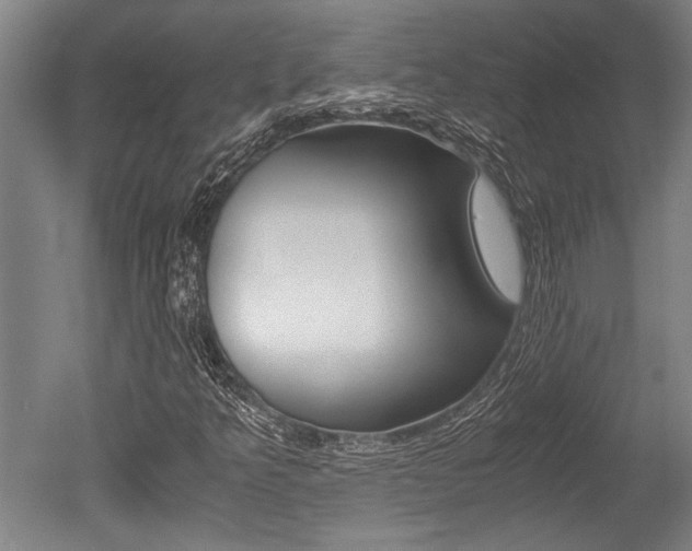 X0000051241349200506170805