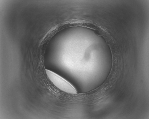 X0000051241351200506170805