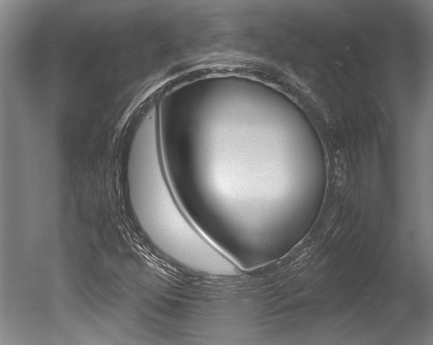 X0000051241352200506170805